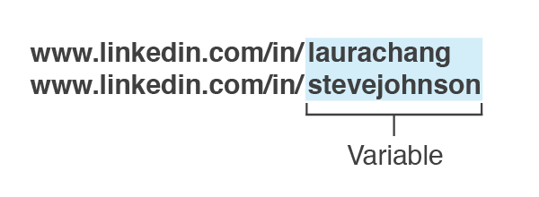 Example of variable parameter on Linkedin URLs.