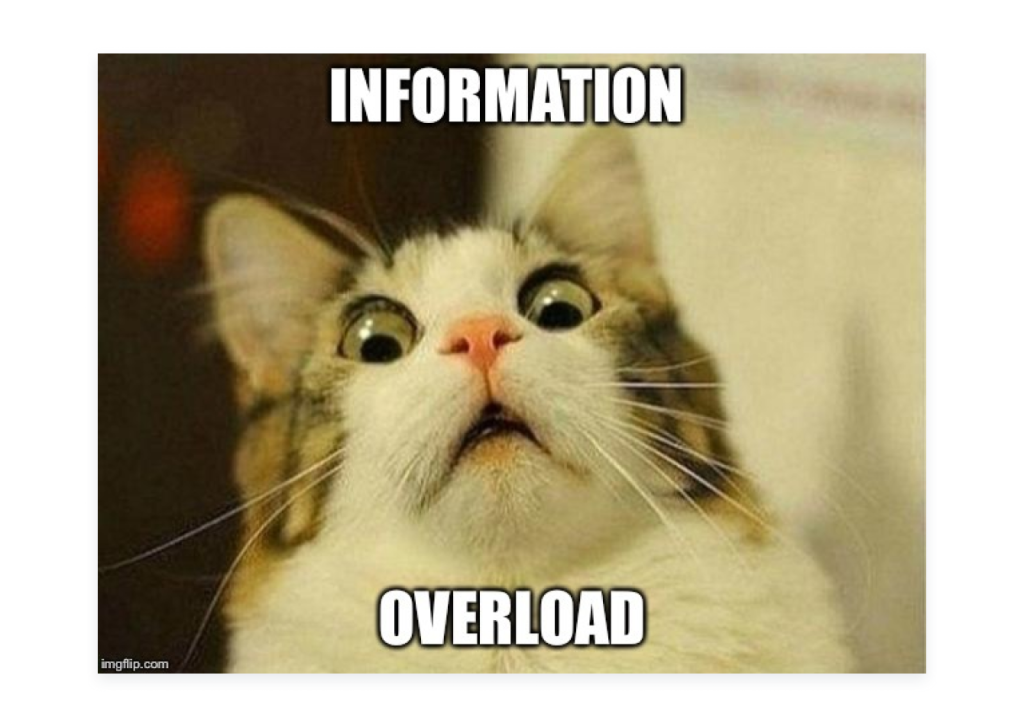 Prevent information overload meme